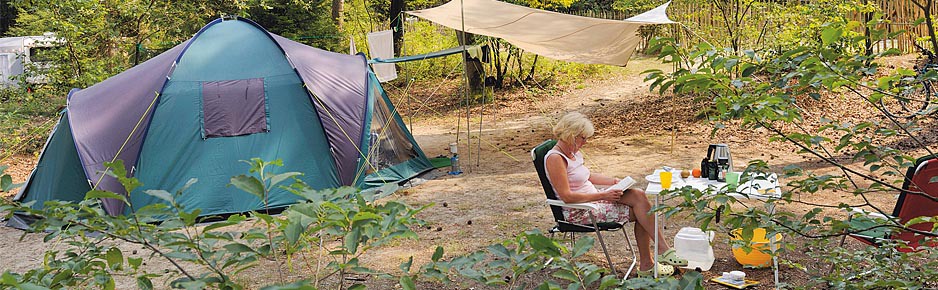Kamperen in de bossen