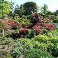 Parktuin ’t Annahofke - Strijbeek