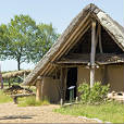 Trips in the surrounding area