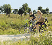 Cycling and walking