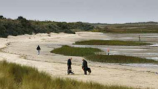 Natuur