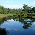 Op ontdekking in de omgeving Op ontdekking in de omgeving