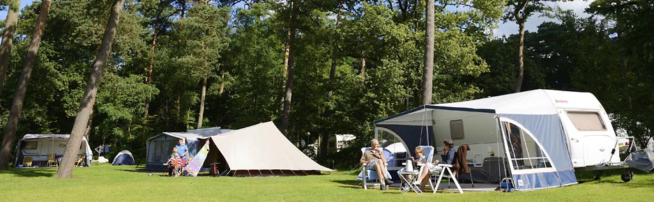 Ruime kampeerplaatsen op RCN het Grote Bos
