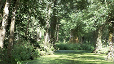 Op pad in de schitterende natuur