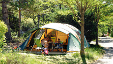 Convivial camping  en terrasses