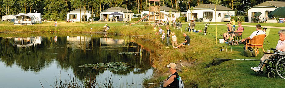 Chalets op RCN de Flaasbloem