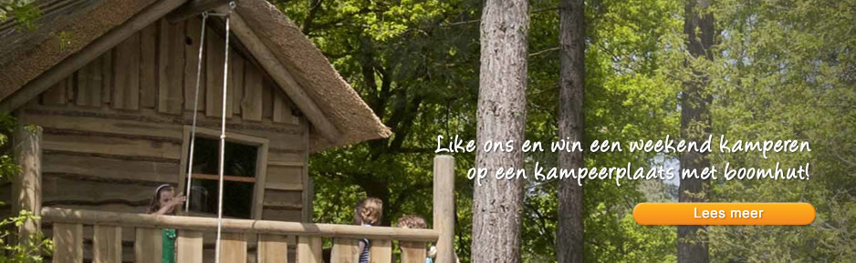 Kampeerplaats met boomhut