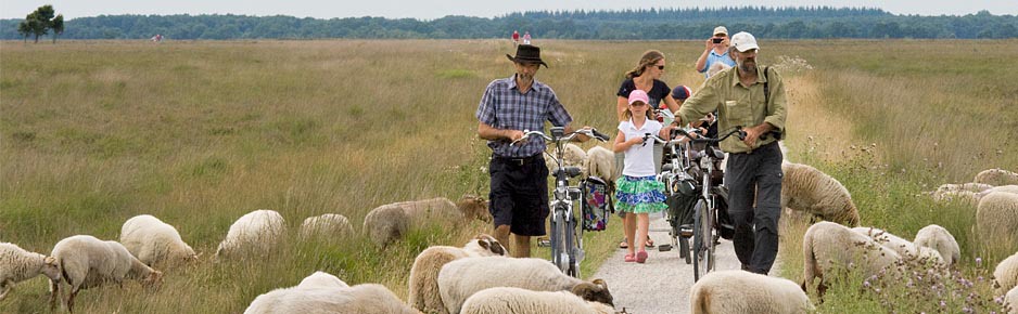 Genieten van de natuur in Drenthe