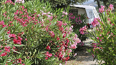 Kamperen in de Provence Kamperen in de Provence