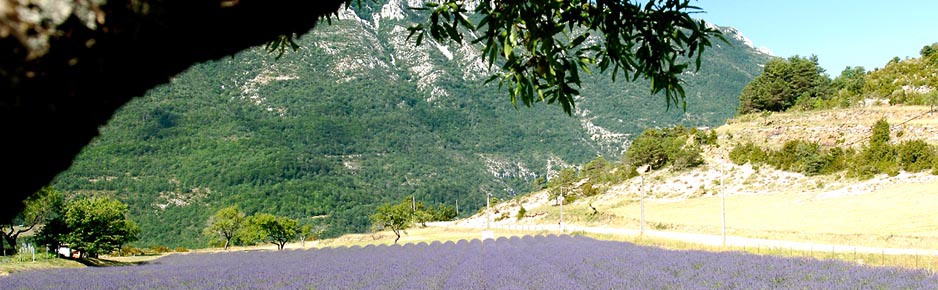 RCN in Frankrijk