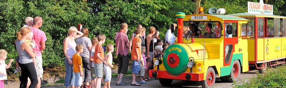 Flaasbloemel trein RCN de Flaasbloem