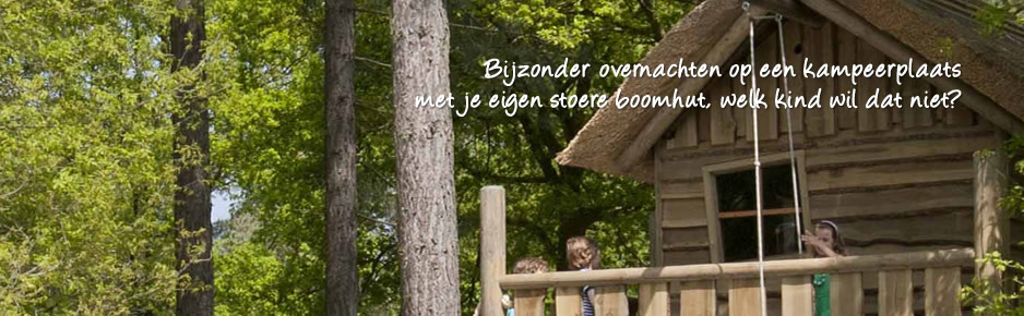 Kampeerplaats met boomhut