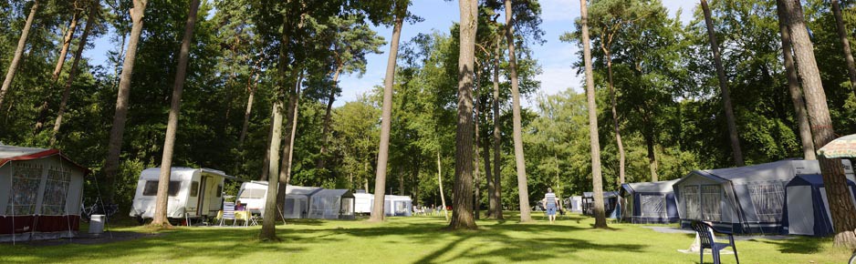 Kamperen op RCN het grote bos