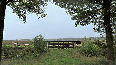 Unterwegs in herrlicher Natur