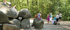 RCN de Noordster, camping in Drenthe