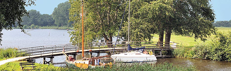 Omgeving van de potten