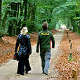 Diverse natuurroutes - Brabant