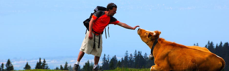 Lekker wandelen in de Franse alpen