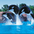 Marineland - Antibes