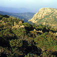 Massif des Maures - Klimmen