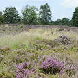 Omgeving van RCN de Jagerstee, Epe, Gelderland