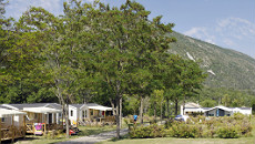 Kampeeraanbiedingen