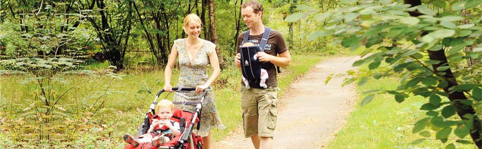 Lekker wandelen in de bossen