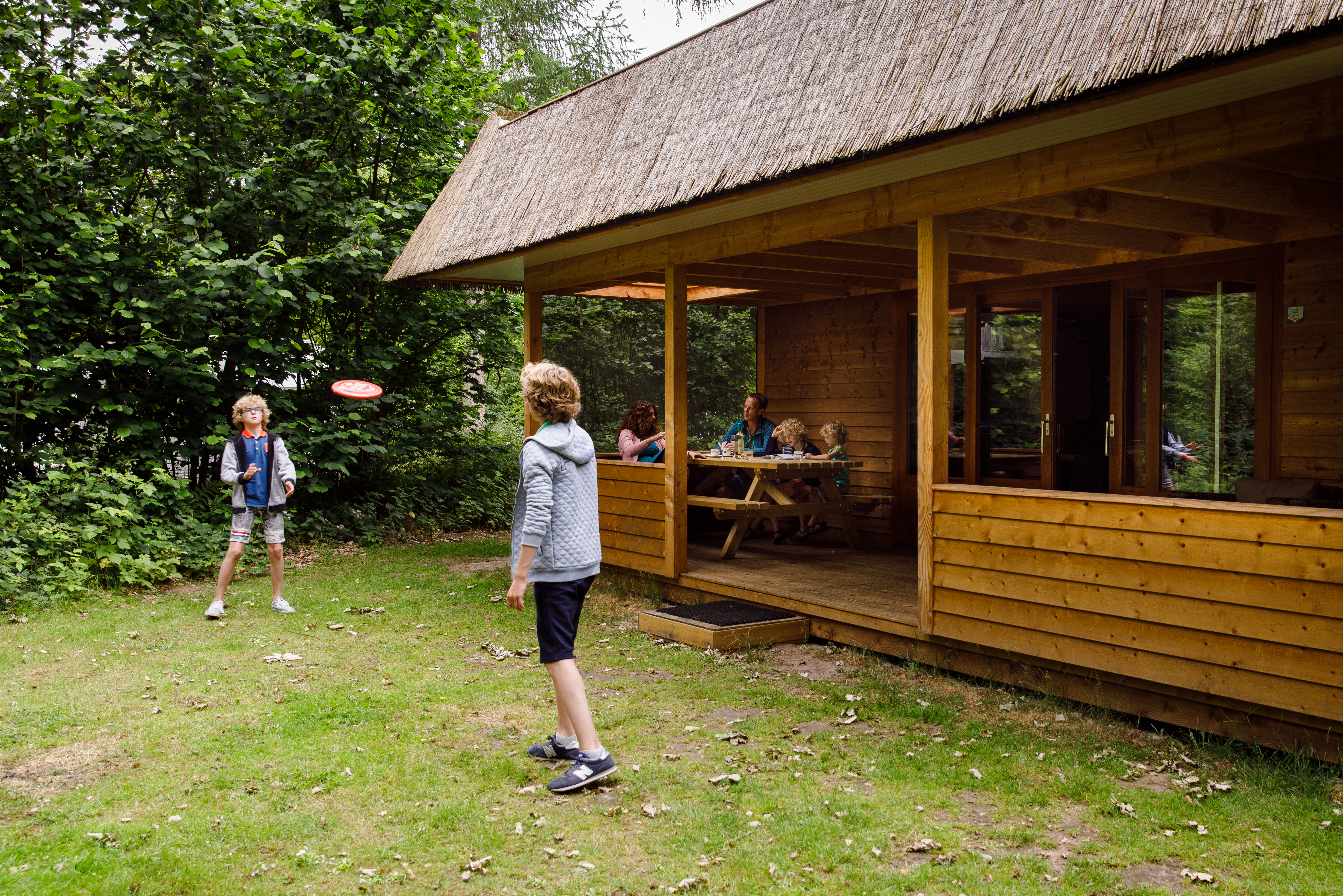 Heidelodge in Dwingeloo - Drenthe, Nederland foto 224158