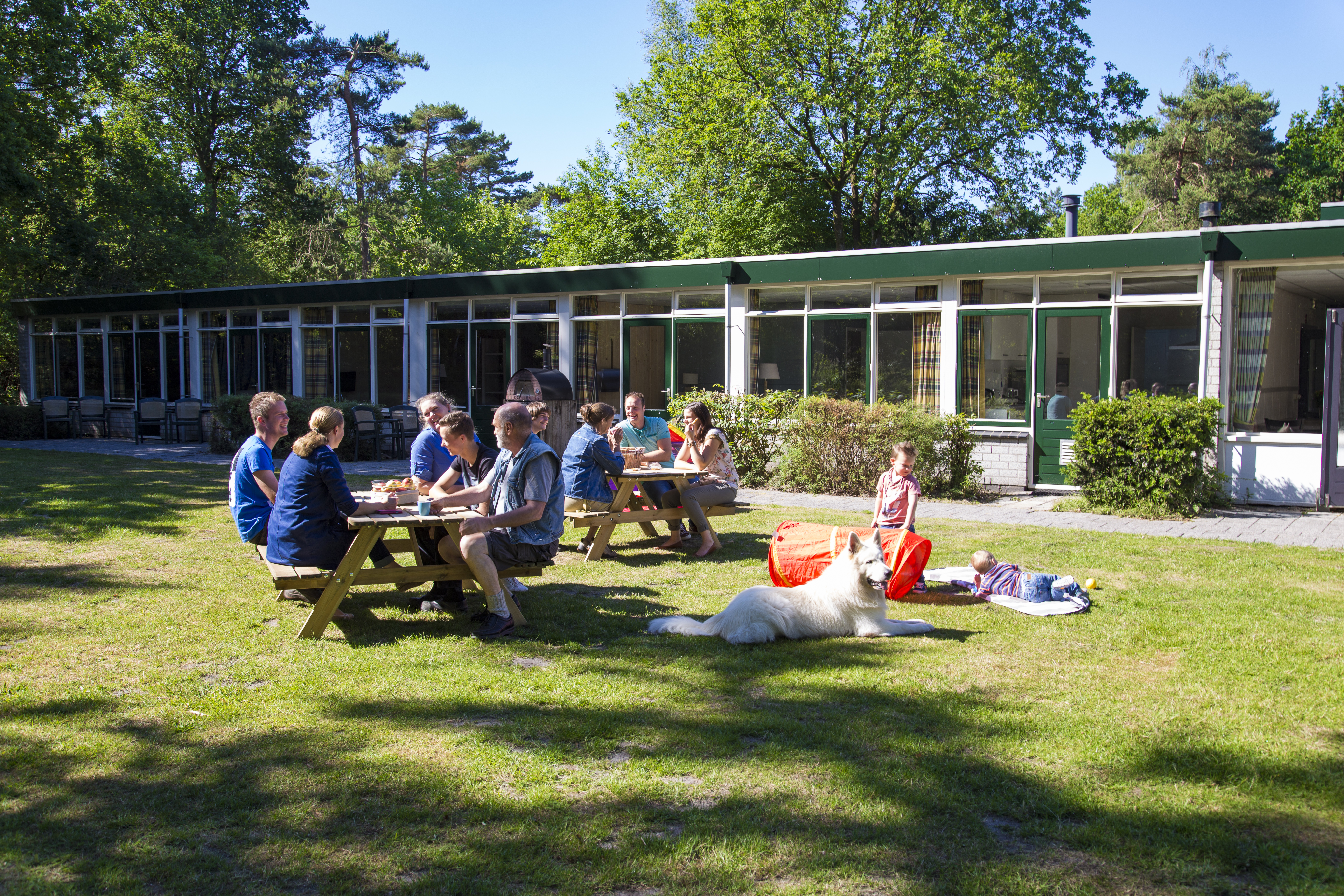 Groepsaccommodatie de Komeet in Dwingeloo - Drenthe, Nederland foto 224127