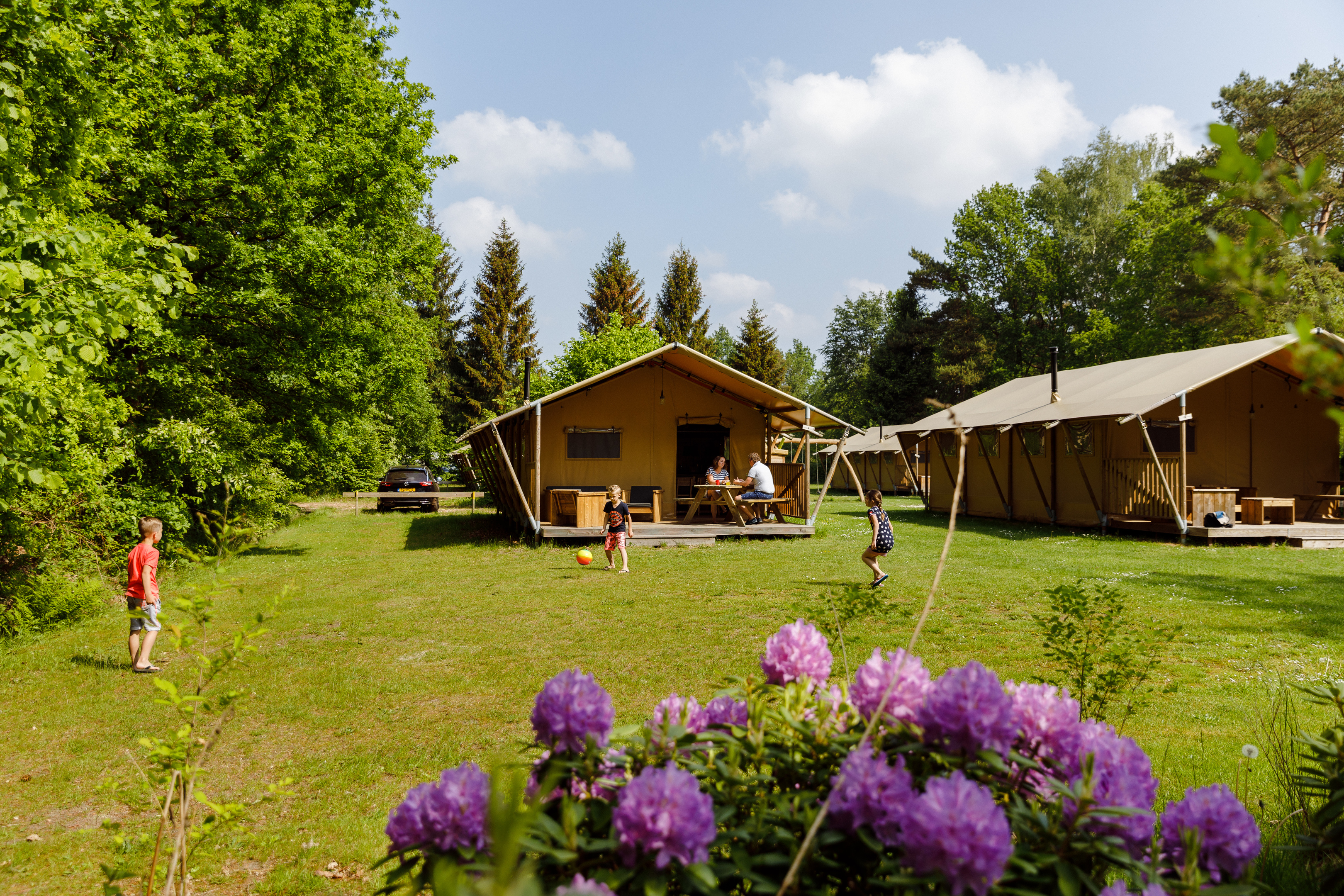 Chalet de Vink